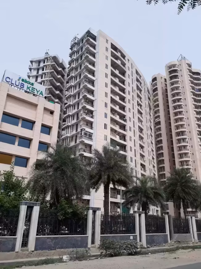 Sikka Karmic Greens - Image 1