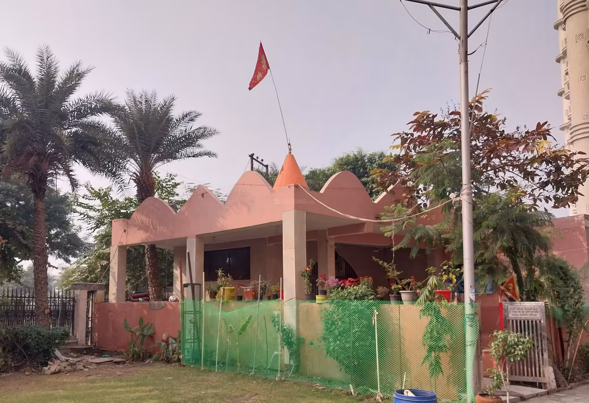 Sikka Karmic Greens - Image 41