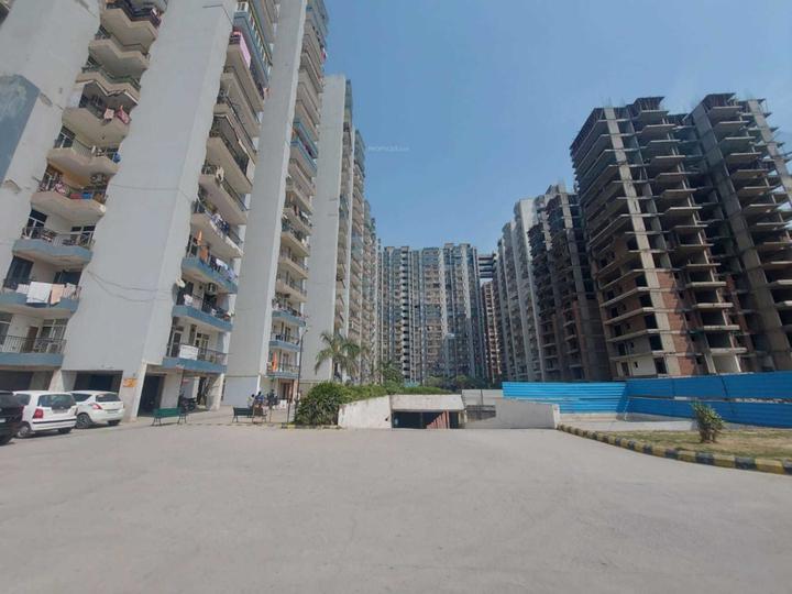 Radicon Vedantam - Image 3