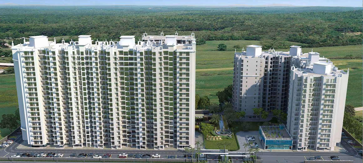 Sethi Max Royal - Image 6