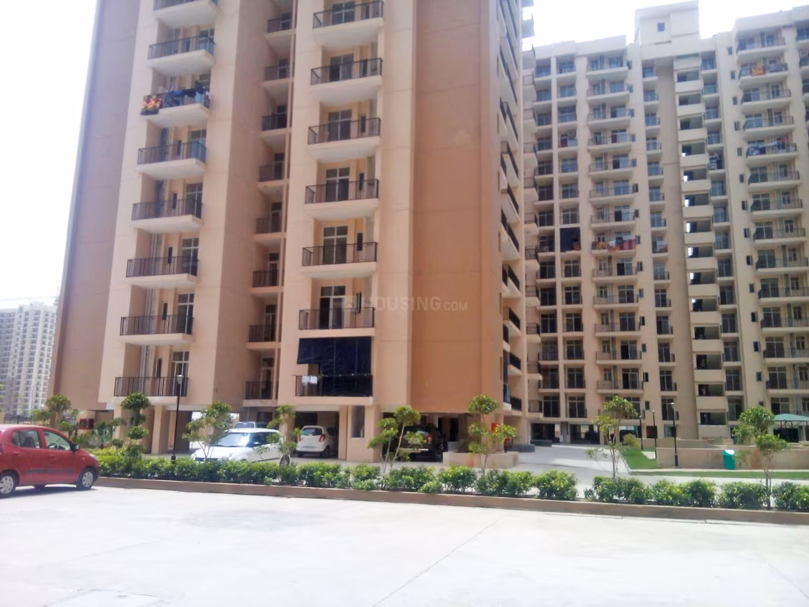 Skytech Matrott - Image 4