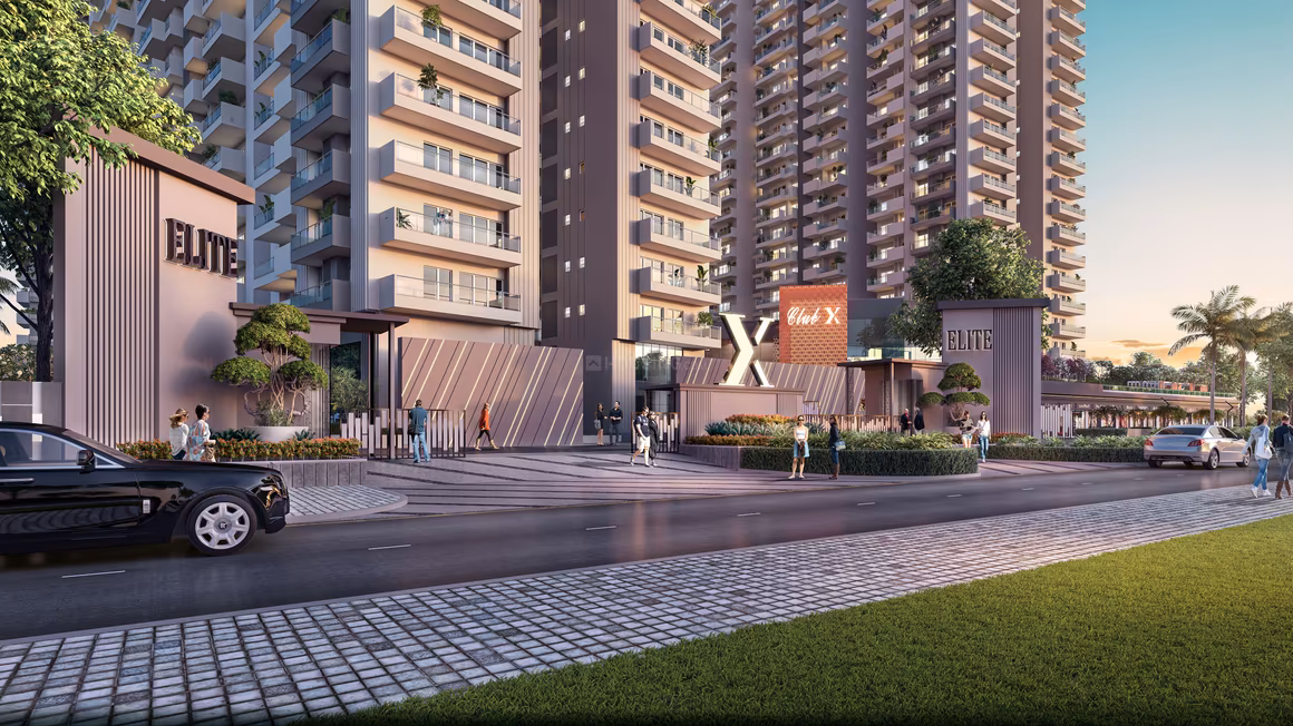 Elite X - Image 9