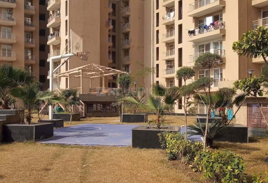 Nirala Greenshire - Image 16