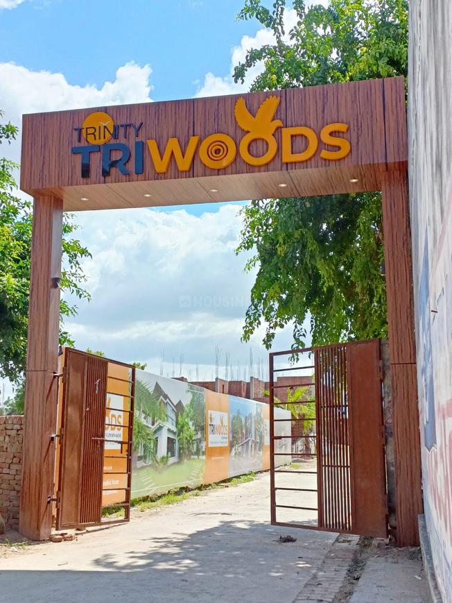 Trinity Triwoods - Image 6