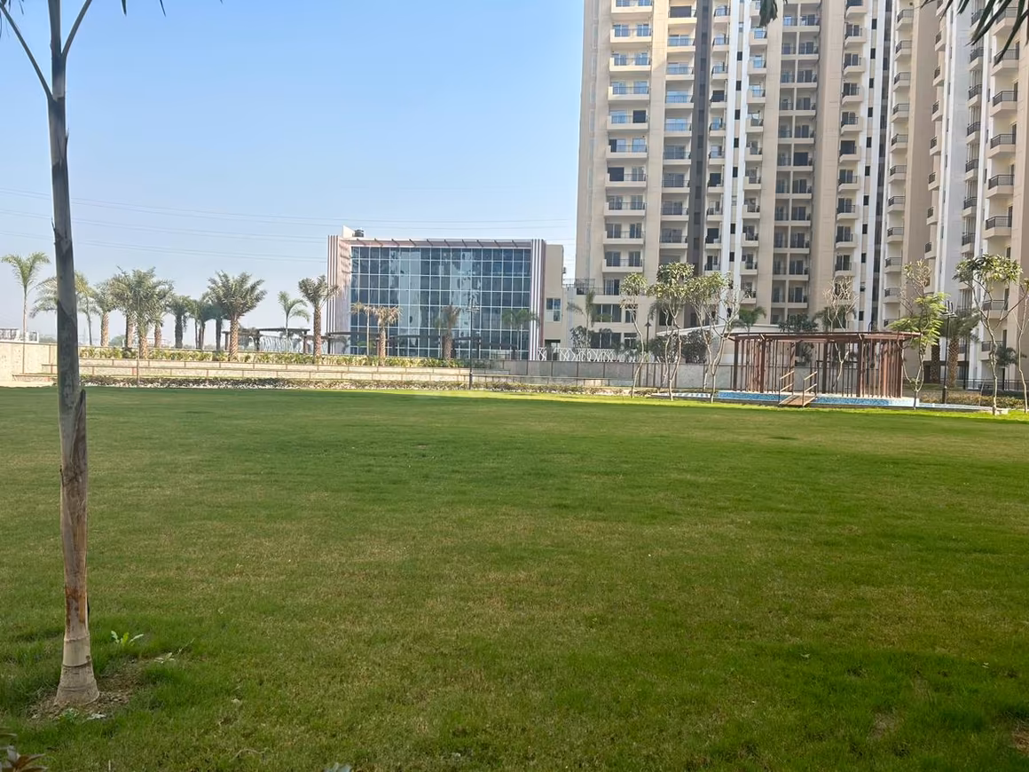 Oasis Grandstand - Image 30