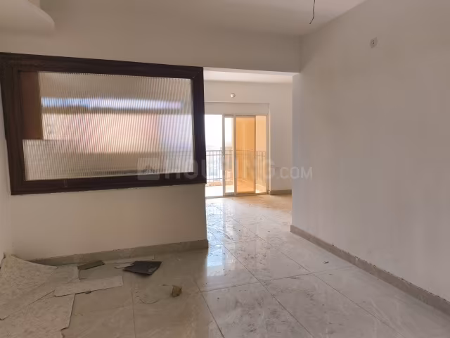 Divyansh Onyx - Image 4