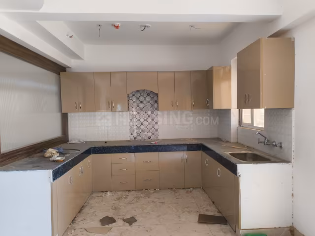 Divyansh Onyx - Image 15