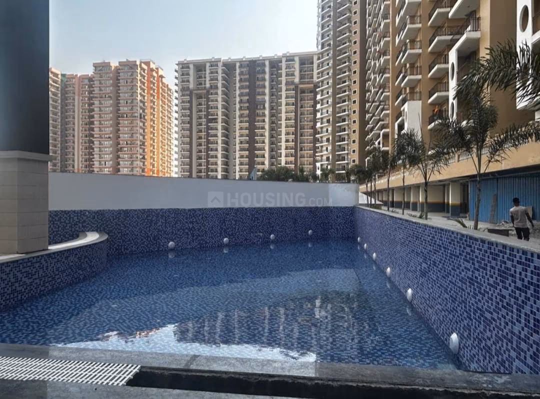 Divyansh Onyx - Image 37