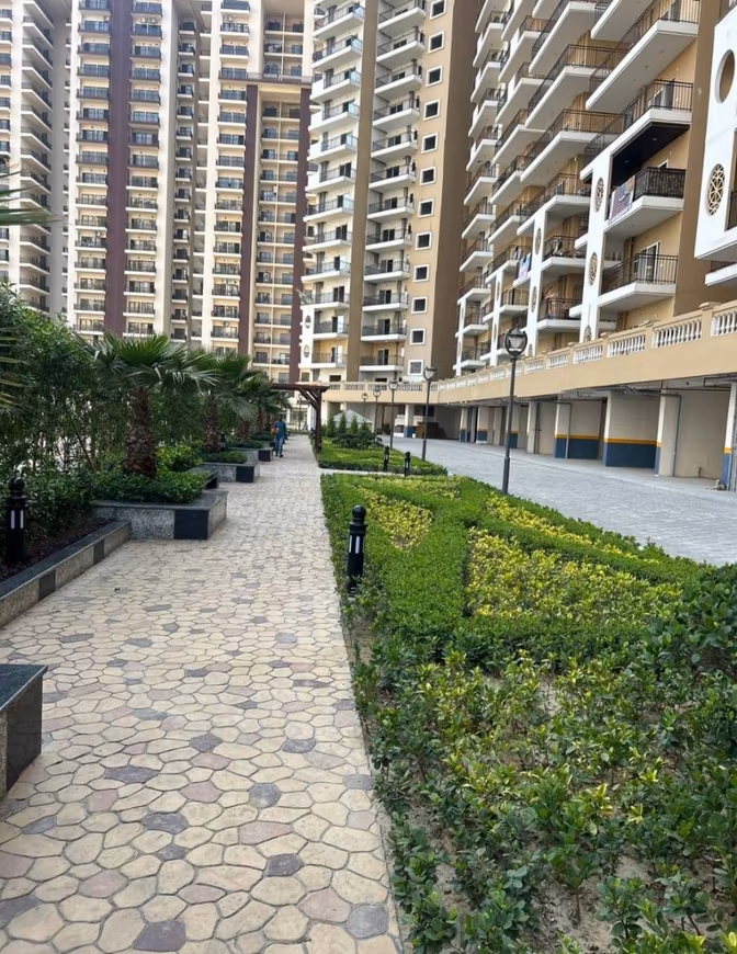 Divyansh Onyx - Image 41