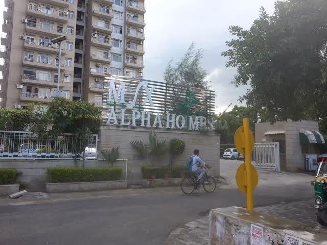 MSX Group Alpha Homes - Image 4