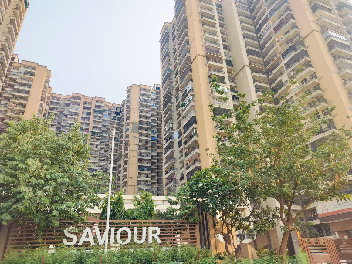 Saviour Greenisle - Image 5