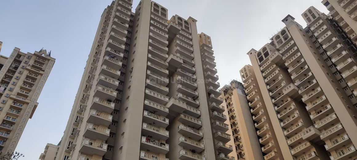 SG Shikhar Height - Image 2
