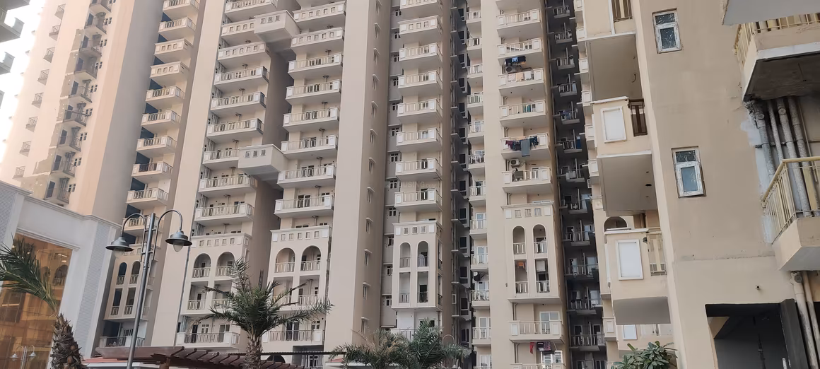 SG Shikhar Height - Image 3