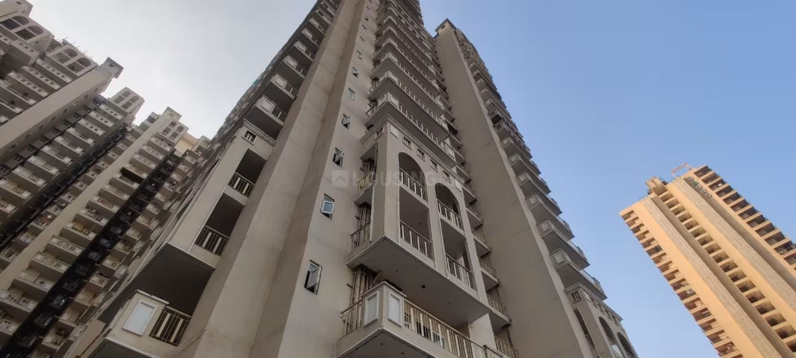 SG Shikhar Height - Image 4