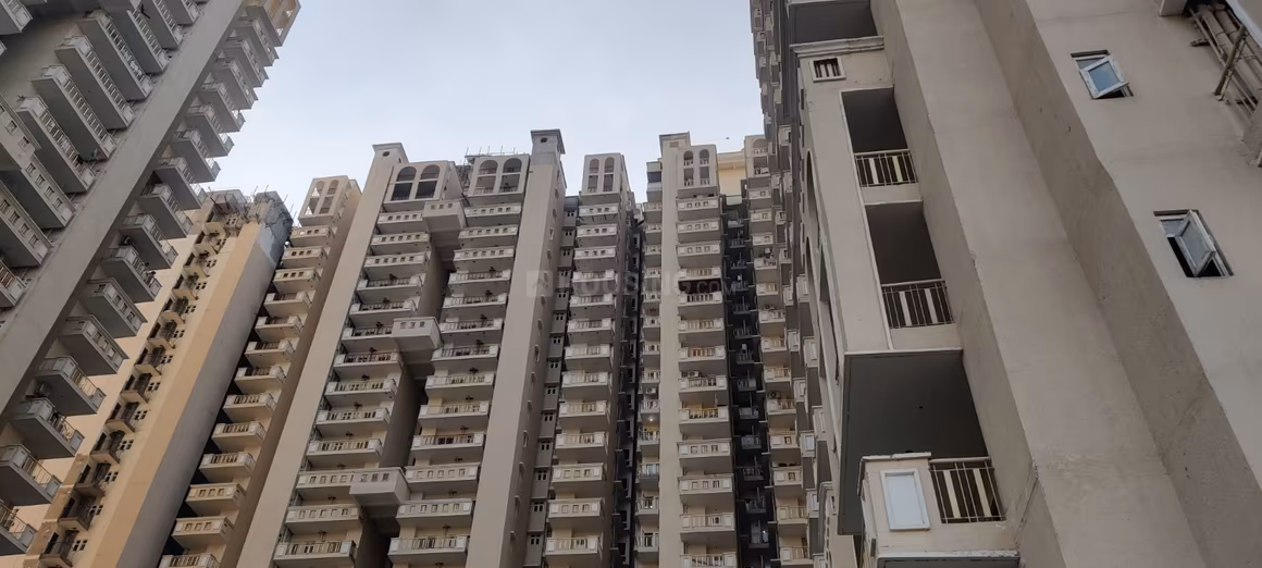 SG Shikhar Height - Image 8