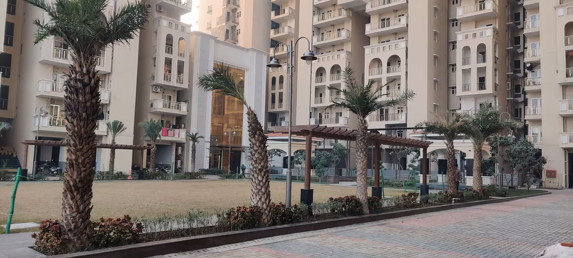 SG Shikhar Height - Image 29