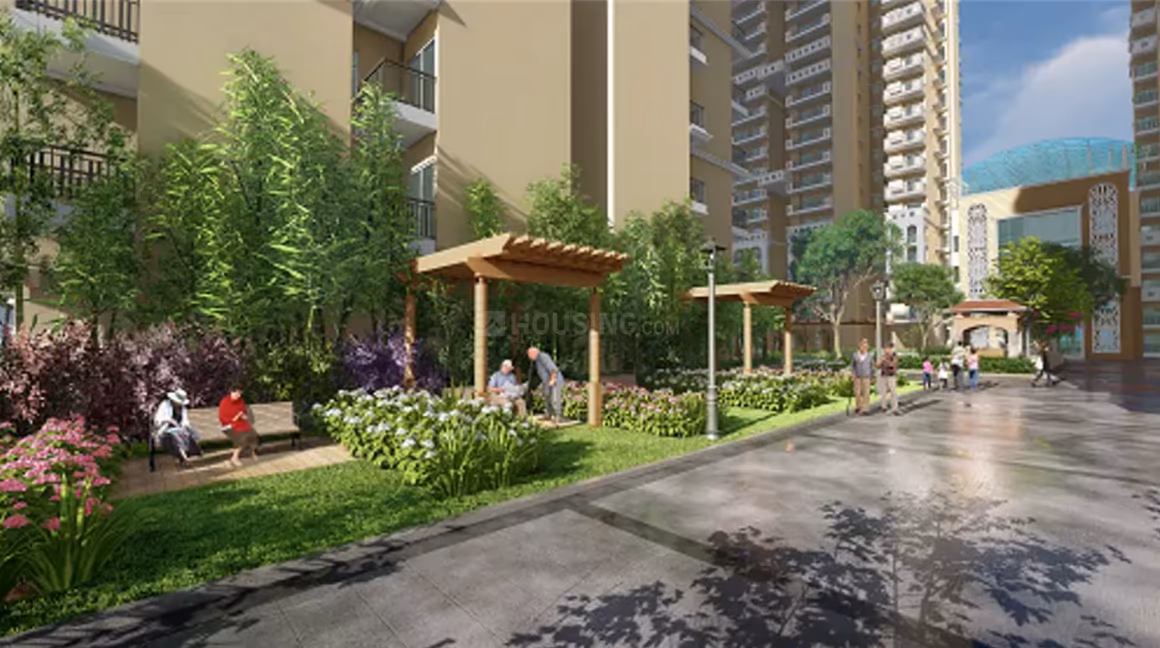 SG Shikhar Height - Image 38