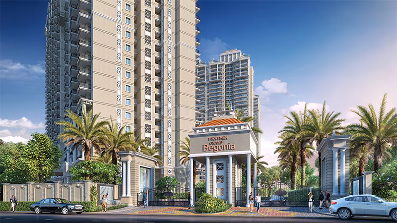 Grand Begonia - Image 16