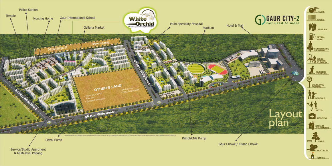 Town White Orchid - Image 17