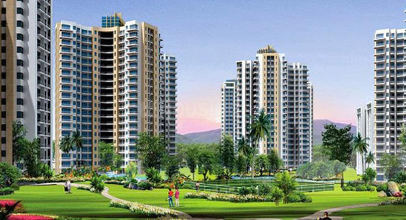 Sikka Kirat Greens - Image 3