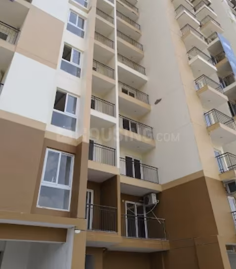 City Grace - Image 22