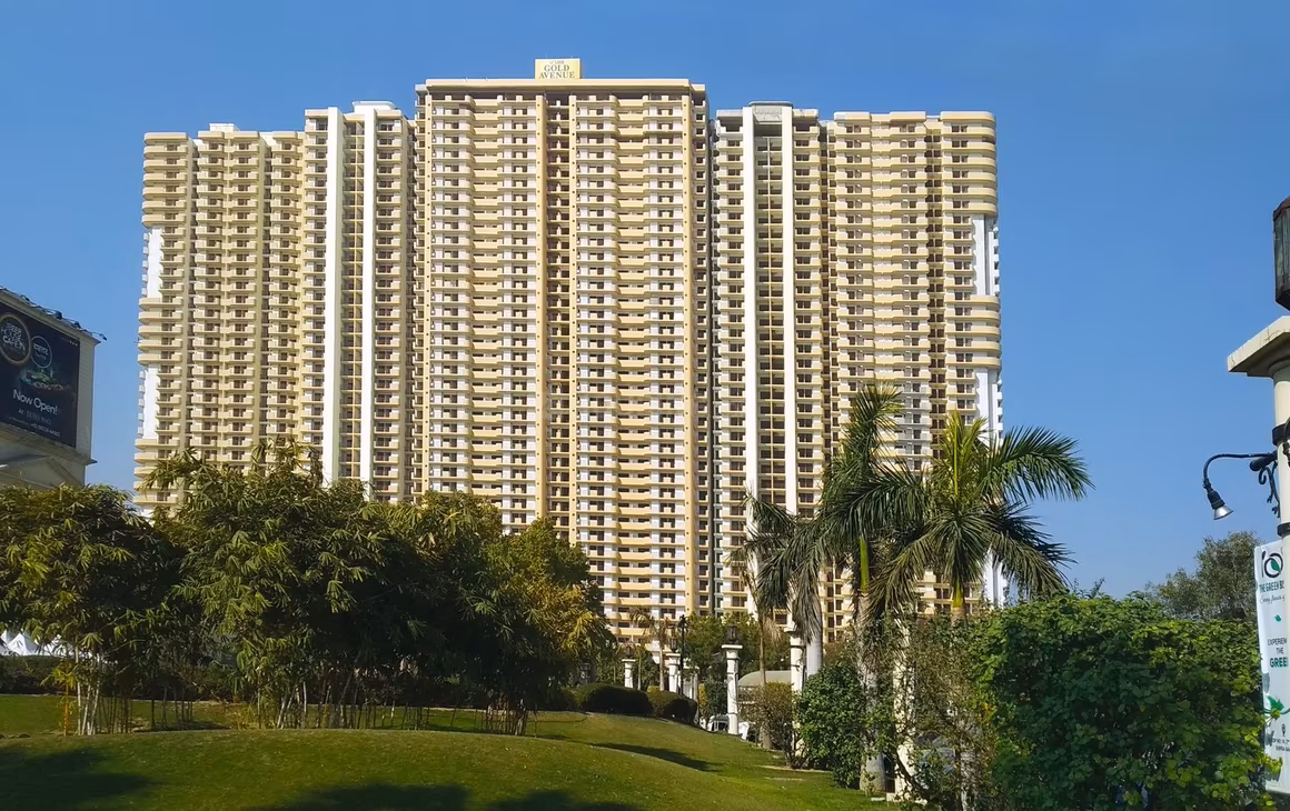 Saya Gold Avenue - Image 7