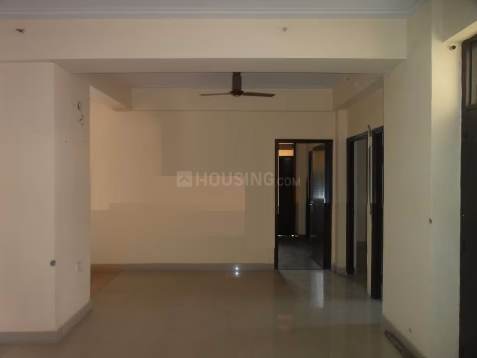 Devika Skypers - Image 6