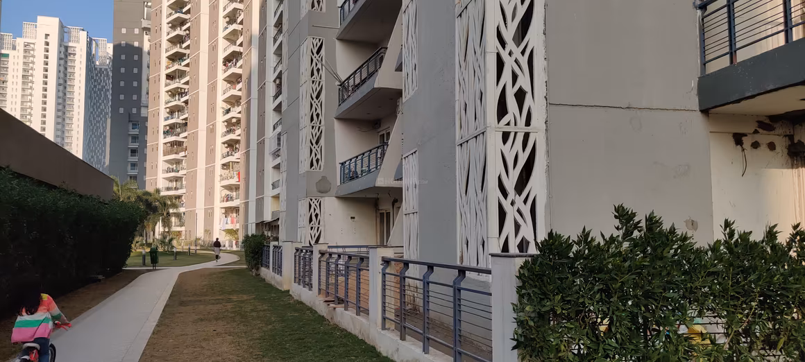 Great Value Anandam - Image 6