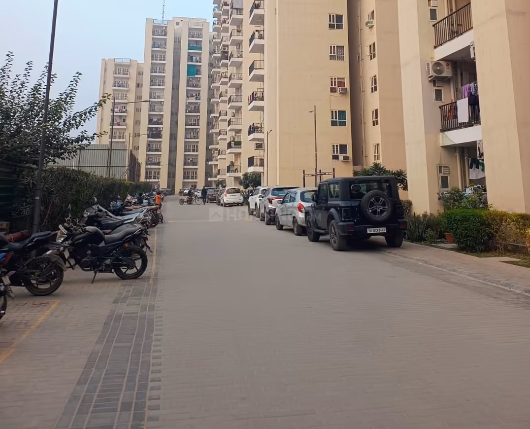 GLS Avenue 51 - Image 25