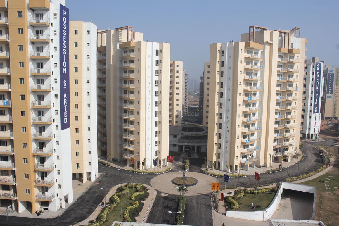 Orris Carnation Residency - Image 2