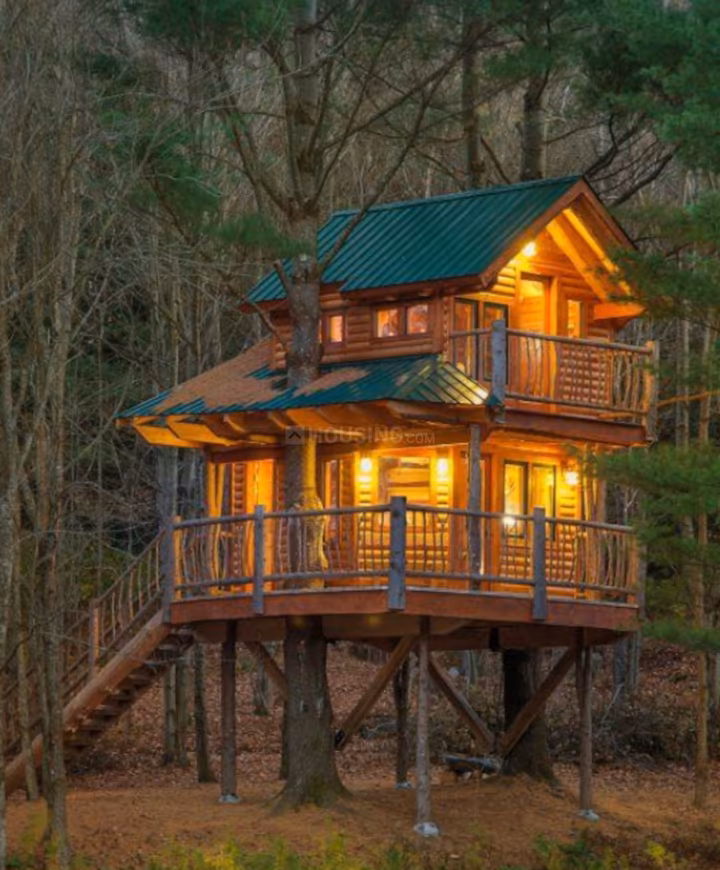 Evergreen Mango Orchad Tree Houses - Image 5