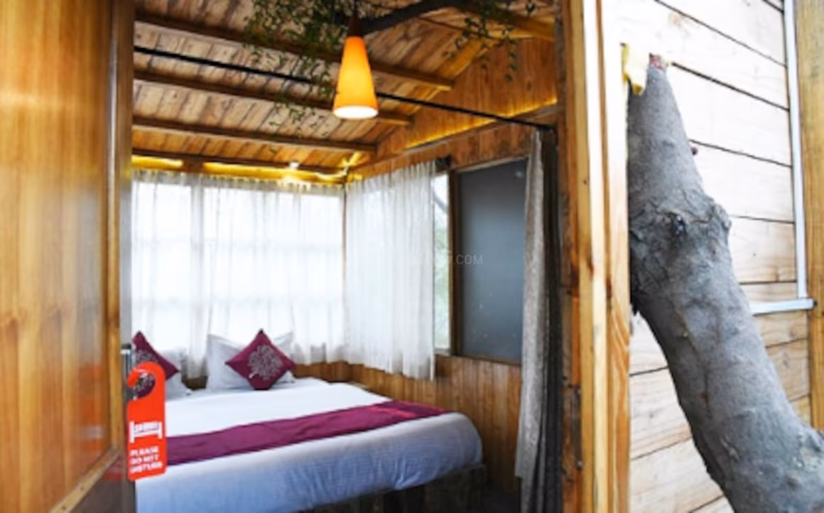 Evergreen Mango Orchad Tree Houses - Image 9