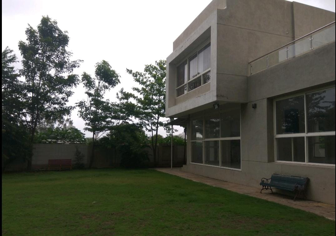 Mi Casa Primaliva - Image 8