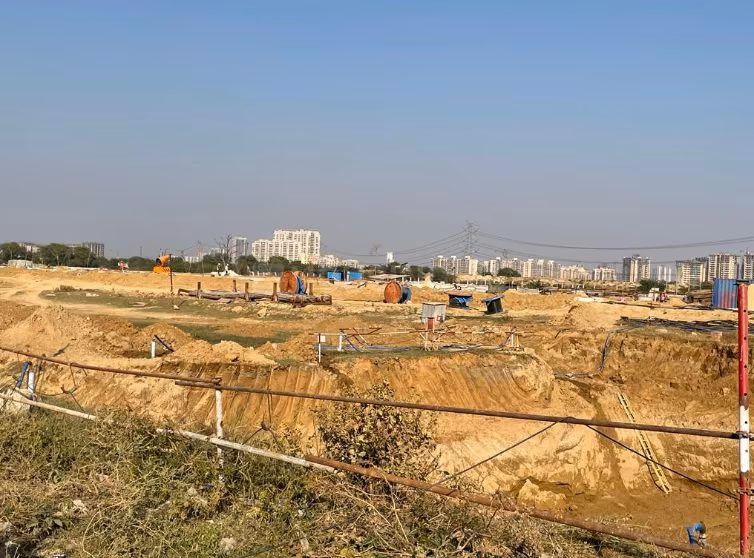 Adani Oyster Greens Phase 1 - Image 10