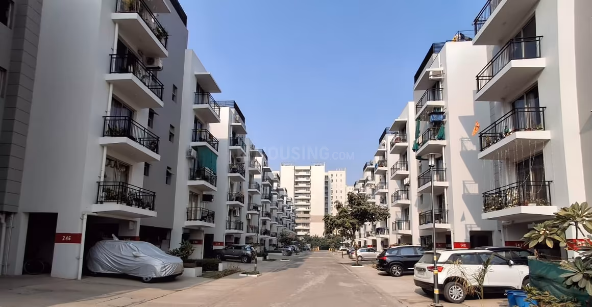 Vatika Emilia Floors - Image 5